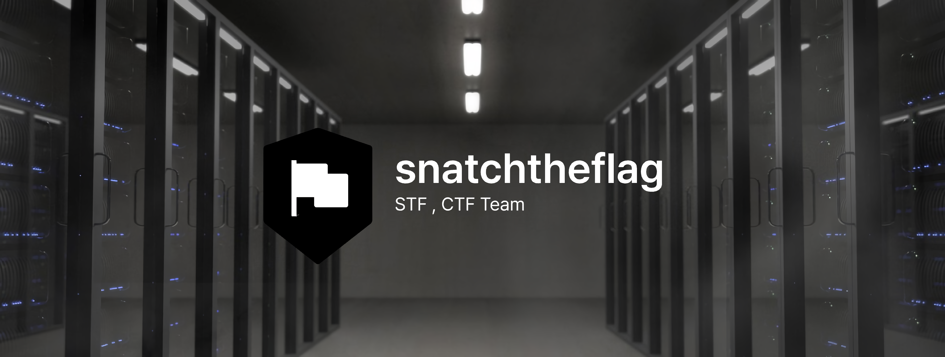 SnatchTheFlag Banner